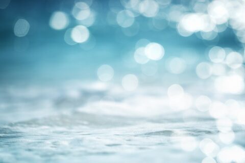 冬のイルミネーションシーズンが始まりました！